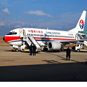林芝米林机场托运航空快运业稳步发展的原因是什么？